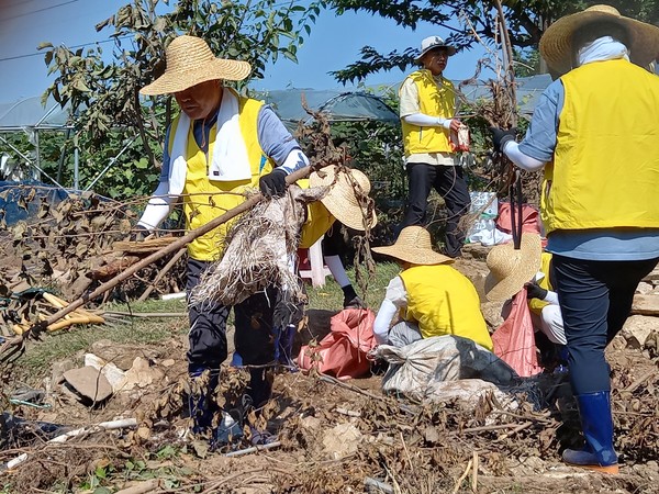 장태평 농어업위 위원장(왼쪽)을 비롯한 직원들이 수해 복구에 구슬땀을 흘리고 있다.