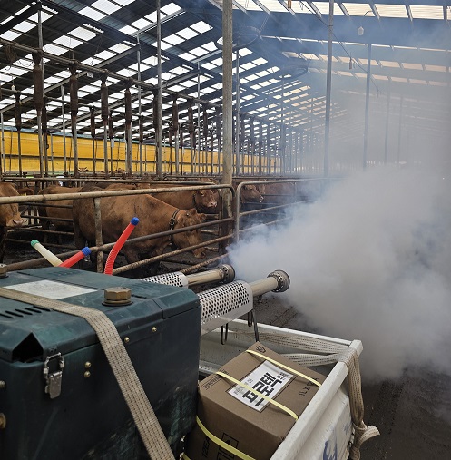 감염병 예방을 위해 방역하는 모습