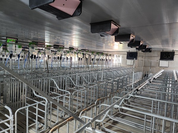 [다비육종 제공]