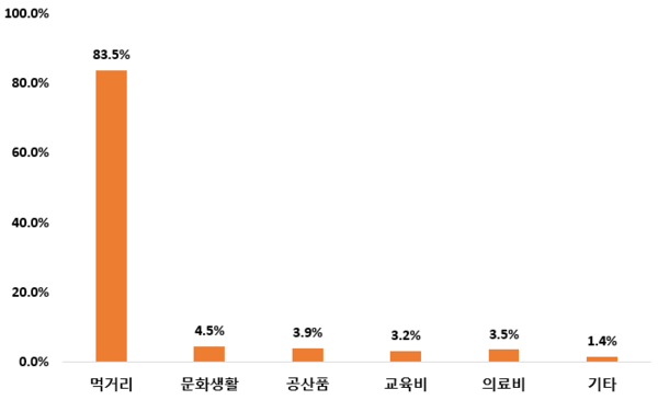   민생회복 소비쿠폰 사용용도