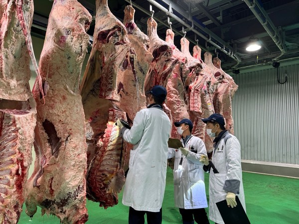 고급육 경진대회 심사 모습