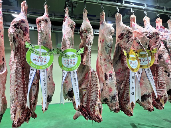 고급육 경진대회 수상우(미경산우, 최우수상)