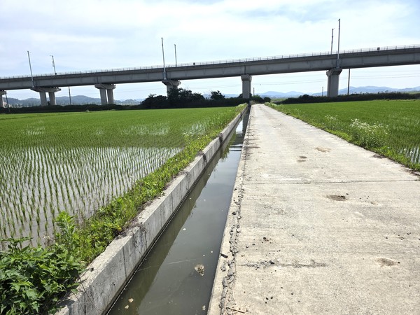 서천군에 위치한 농수로 모습