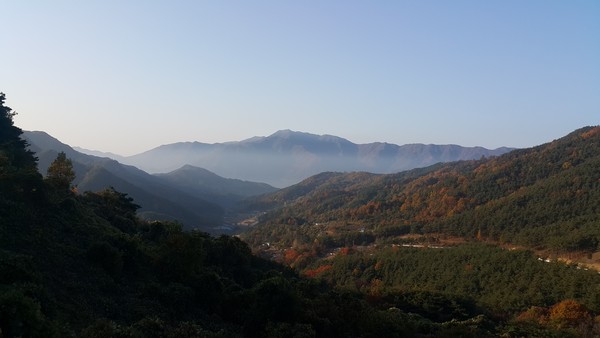 모고 선도산림경영단지 전경