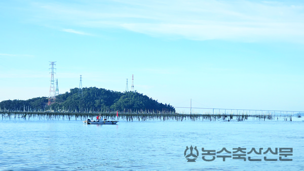 유인섬이 무인섬으로 되는 것을 막기 위해서는 섬 지역 삶의 질 기준을 마련하고 이를 달성할 수 있도록 해야한다는 지적이 제기된다. 사진은 전남 신안군에 위치한 섬 전경.