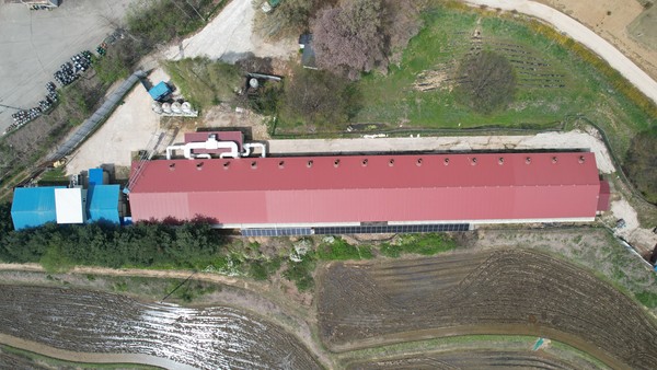 실험이 진행중인 도화농장 모습. [다비육종 제공]