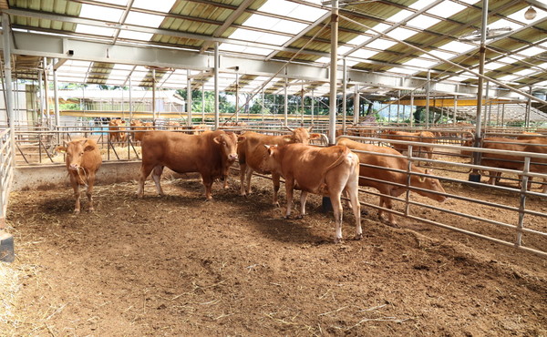 태안군 관내 축사 