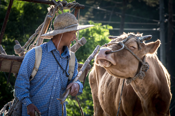 대상 수상작. [농림축산검역본부 제공]