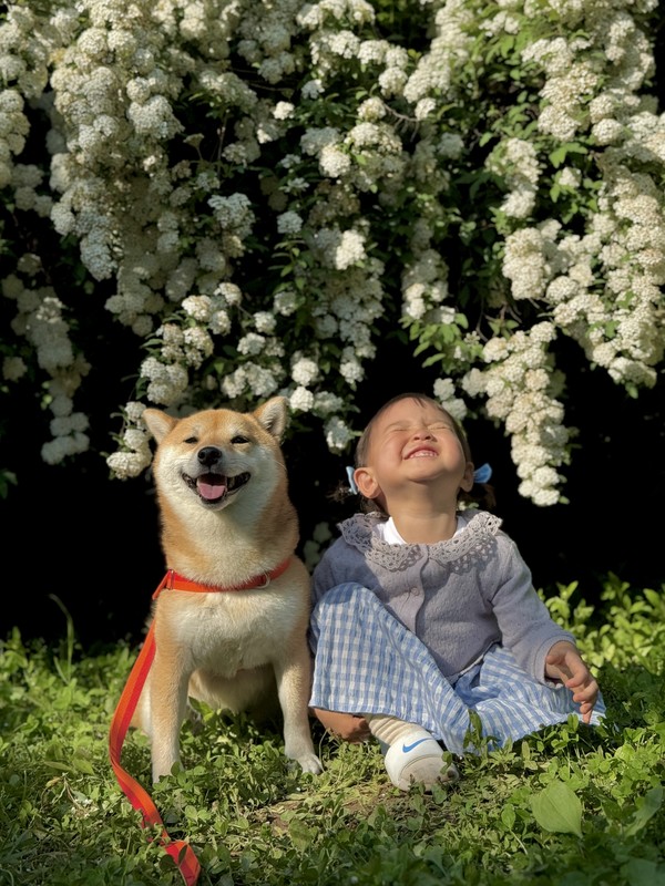 최우수상 작품. [농림축산검역본부 제공]