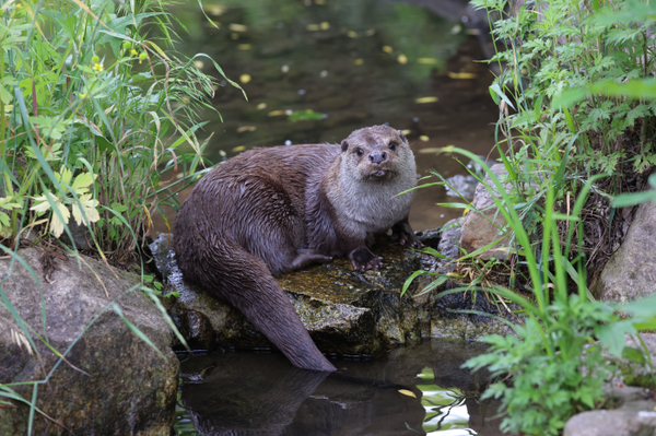[제공: 국립생태원]