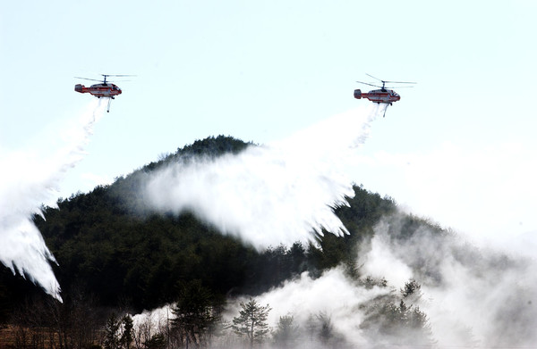 대형산불과 산사태로 인명·재산 피해가 잇따라 발생하면서 산림재난 대응 체계를 개선할 것을 요구하는 목소리가 높아지고 있다.