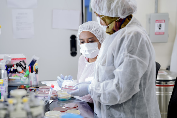 워크숍 모습. [농림축산검역본부 제공]