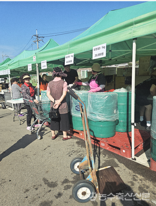 오천농협 새우젓과 액젓 할인 판매장.