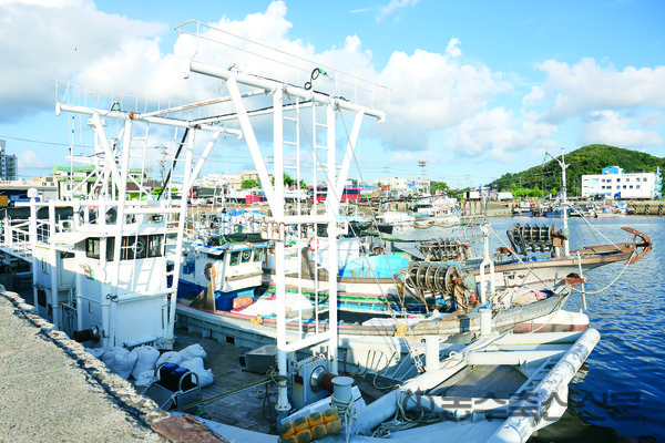 어선어업과 관련한 환경규범과 노동규범이 강화되면서 어선어업의 체질개선과 수산정책의 전반적인 재편을 요구받고 있다. 사진은 어항에 정박 중인 어선.