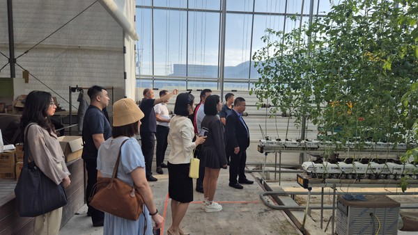 베트남 라오까이성 대표단이 경북 고령군에 농업현장을 방문해 현장 환경을 보고있다.