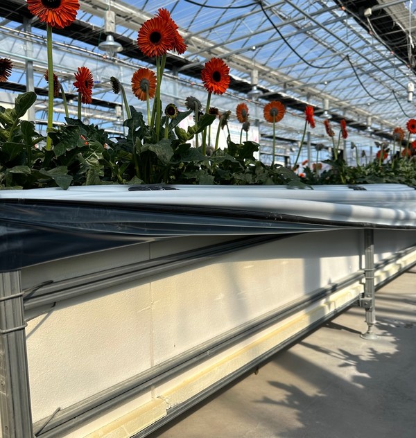 거베라 스마트팜 수경재배 베드규격(35cm)