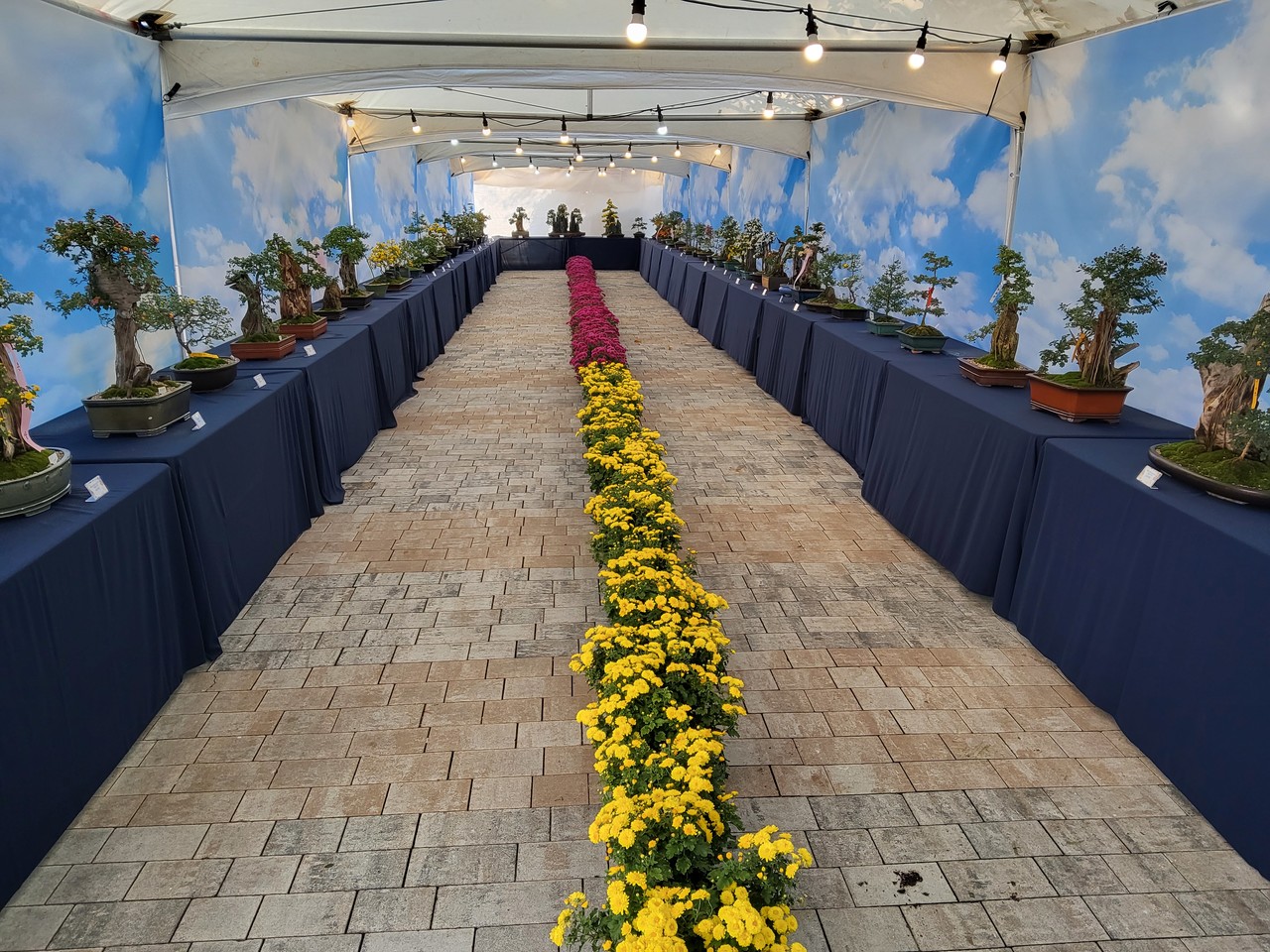 충남도도 농업기술원 화훼연구소는 같은 날 아산 지중해마을에서 ‘제14회 충남화훼치유연구회 작품전시회’를 열었다.