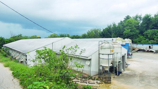 농협경제지주 종돈개량사업소의 전경.