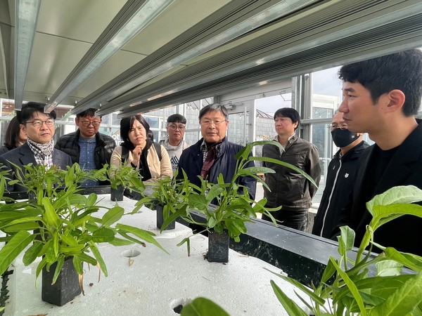 김호 농특위 위원장(가운데)이 만나씨이에이(Manna CEA)를 방문해 스마트농업시스템에 대한 설명을 듣고 있다.