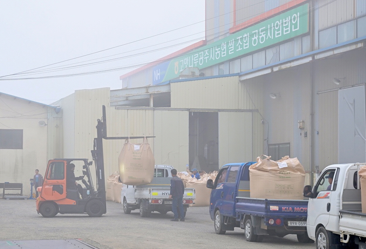 7일 공주시 신풍면 신풍농협 산지유통센터에서 2025년산 공공비축 건조벼 첫 수매가 진행되고 있다. 지게차가 대형 톤백에 담긴 건조벼를 상차하고 있는 모습. 첫 수매 현장은 새벽부터 분주했다.