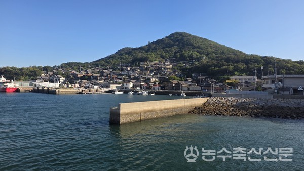 오기지마의 주민주도 돌봄은 주민이 직접 돌봄서비스를 공급함으로써 복지의 사각지대 문제를 해소하고 복지서비스의 효율성을 높였다는 점에서 국내 어복버스 사업이 나아가야할 방향성에 시사점을 던진다.