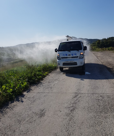 경북 고령군 조류인플루엔자(AI) 차단방역에 총력