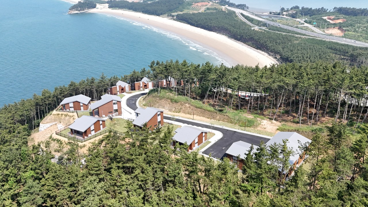 원산도자연휴양림 전경