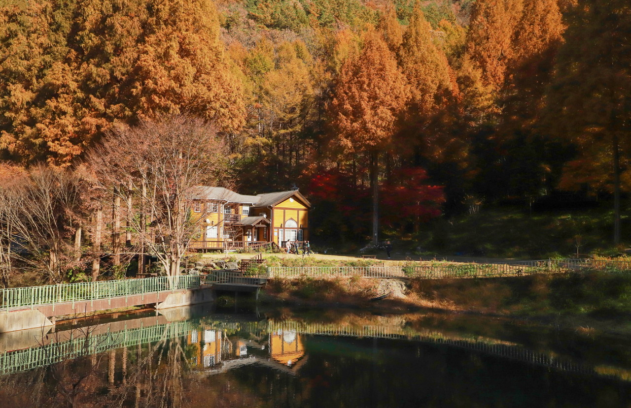 온빛자연휴양림 전경