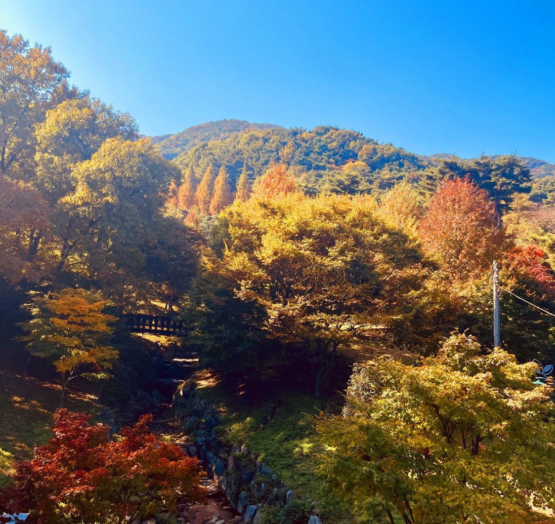 봉수산 자연휴양림 단풍 풍경