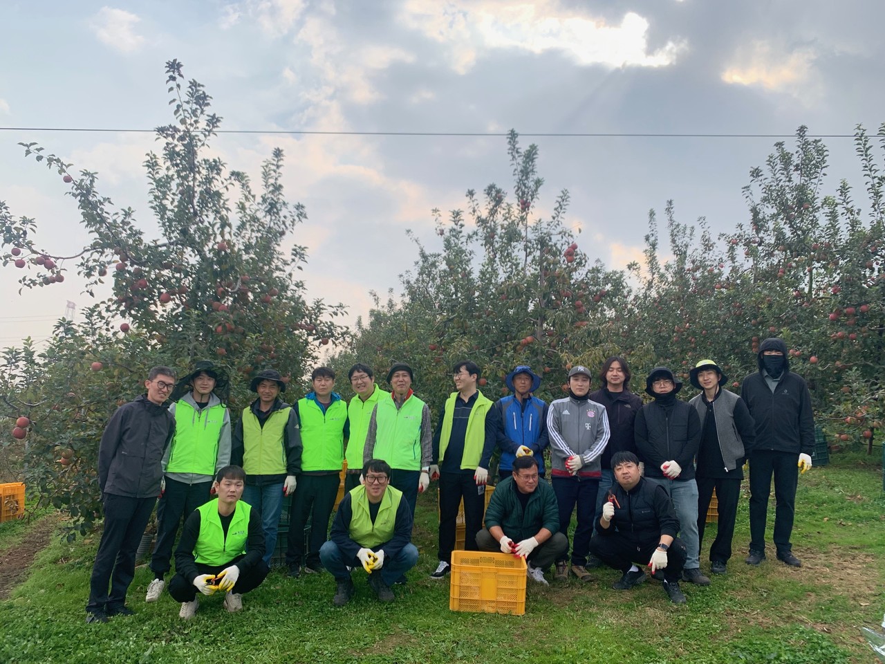 예산군 수도과 직원들 사과 농장 일손돕기