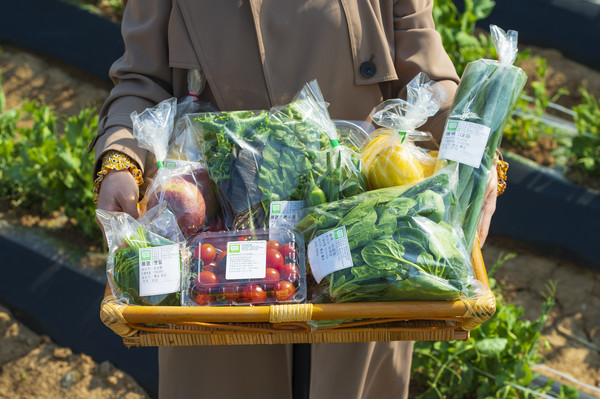 친환경 농산물 꾸러미 모습. [홍성군청 제공]