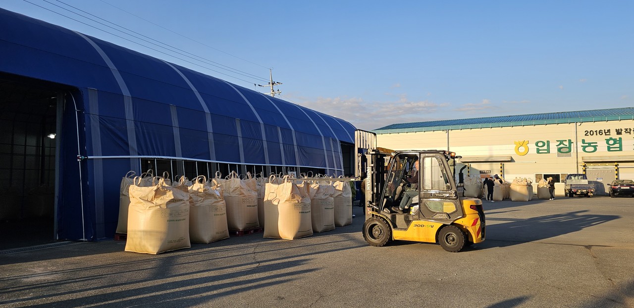 아침 햇살 속에서 입장농협 산지유통센터 마당에 공공비축미곡 톤백이 가득 쌓여 있고, 지게차가 매입 작업을 준비하고 있다.