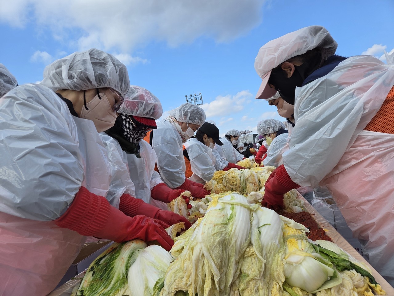 2025 충청남도 자원봉사 김장대축제현장에서 정성스럽게 김장을 하고 있는 자원봉사자들