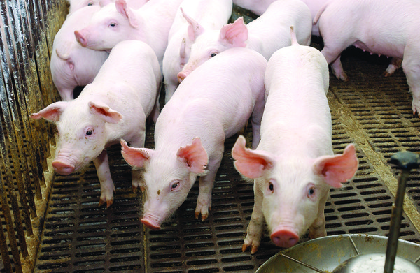 ���� ������ ���ึ������ ���� ������ ������ �����ȴ�.