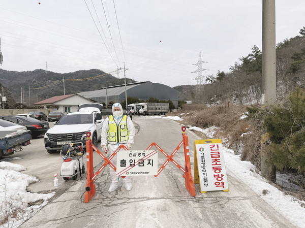 전남 영광 ASF 발생 농장 인근에서 긴급초동방역을 하는 모습. [가축위생방역지원본부 제공] 