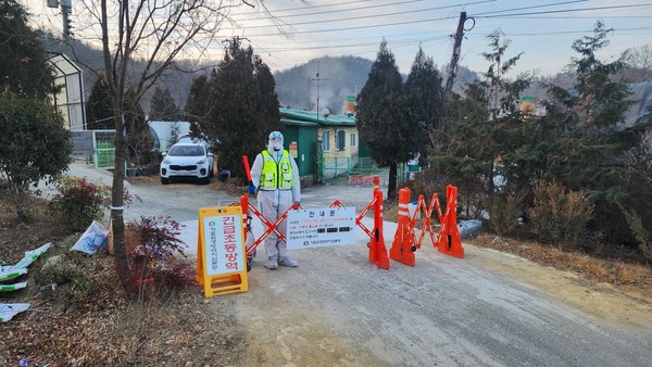 경남 창녕 ASF 초동방역사진(가축위생방역지원본부 제공)