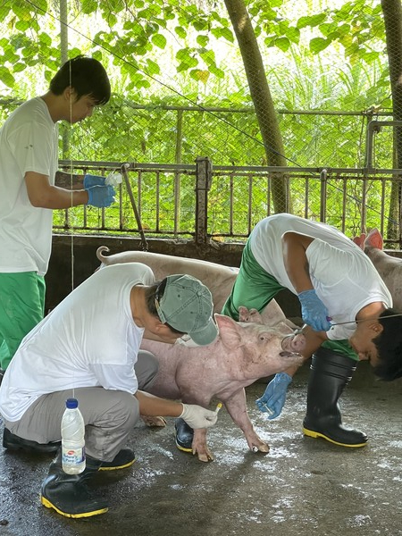 �ʸ��� �߿� ��������� '�κ� ��(ROBINA FARM)' ���. [�ڹ��� ����]