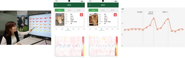 구제역 백신 접종 후 체온 변화 그래프(백신 접종 후 발생하는 급격한 체온 상승-붉은색 지점, 신호를 라이브케어 AI 시스템이 실시간으로 포착하고 있는 데이터 시각화 사례) [라이브케어 제공]