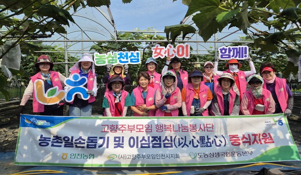 농협인천본부와 고향주부모임 인천시지회는 최근 옹진구 영흥면, 북도면과 강화군 양도면 등지에서 농촌 일손돕기를 실시하며 구슬땀을 흘렸다.