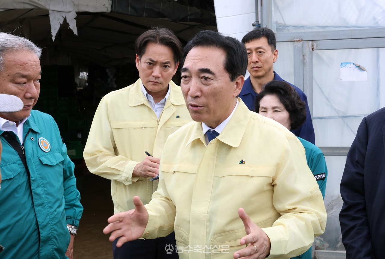 박수현 충남도지사가 부여군 세도면 방울토마토 시설하우스를 찾아 농가의 피해 우려와 배수 상황을 듣고 있다.