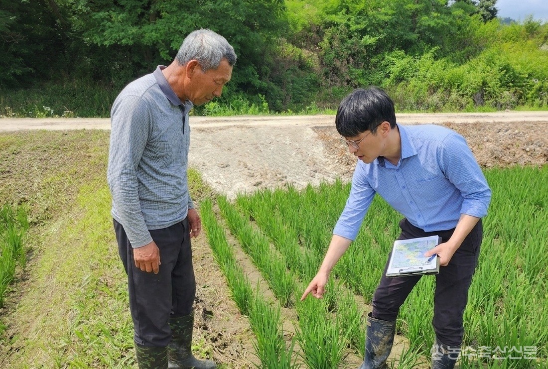 부여군농업기술센터 관계자가 벼 재배 농가를 찾아 병해충 발생 여부를 확인하고 방제 방법을 안내하고 있다.&nbsp;