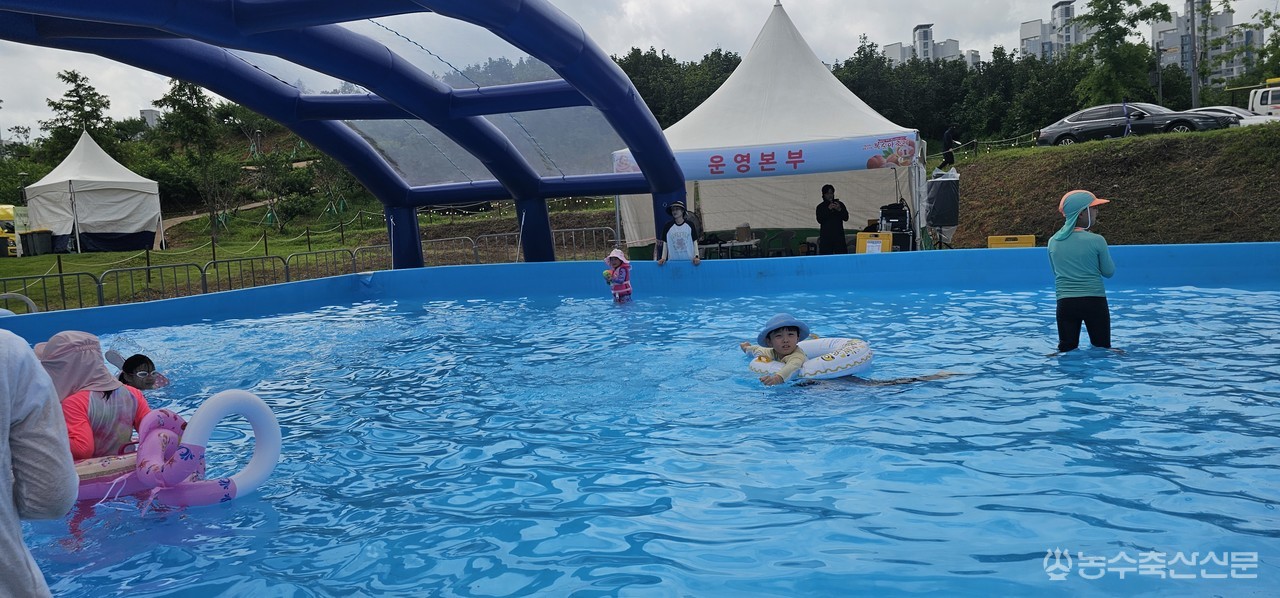 제24회 세종 조치원복숭아축제장을 찾은 어린이들이 도도리파크 일원에 마련된 물놀이장에서 더위를 식히고 있다. 세종시는 한여름 축제 특성을 고려해 워터풀과 워터슬라이드, 유아풀 등 물놀이시설을 운영하고 있다.