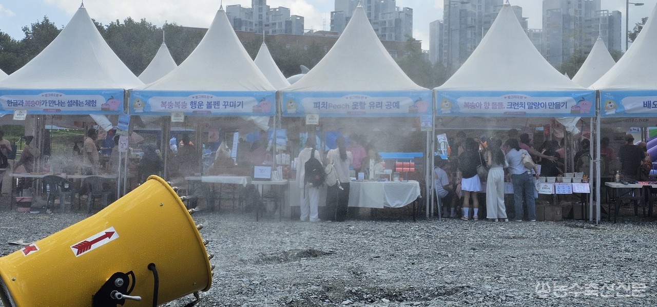 제24회 세종 조치원복숭아축제장에서 물대포를 가동하고 있다. 세종시는 낮 시간대 무더위를 줄이기 위해 물놀이시설과 폭염 대응 장비를 함께 운영하고 있다.
