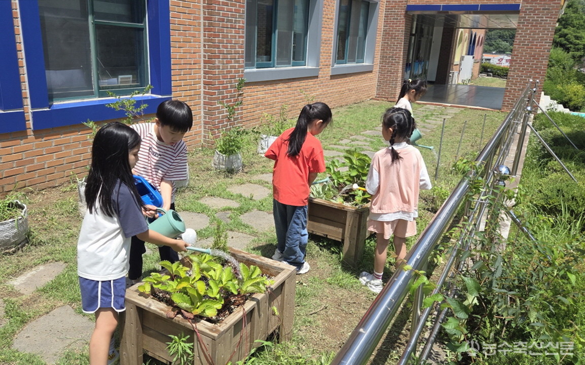 공주시 늘봄학교 연계 농촌체험 교육프로그램에 참여한 초등학생들이 학교 텃밭에서 식물을 돌보고 있다.