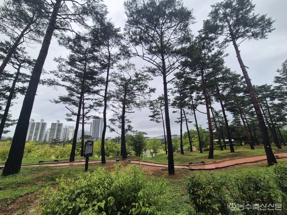 아산시가 공원 이용객의 폭염 불편을 줄이기 위해 황톳길 미스트 시설을 운영하고 있다.