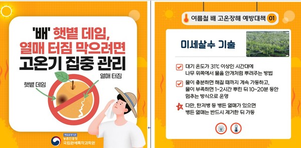 농촌진흥청 제공