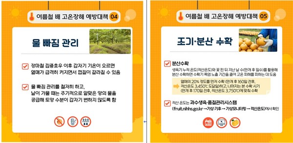 농촌진흥청 제공