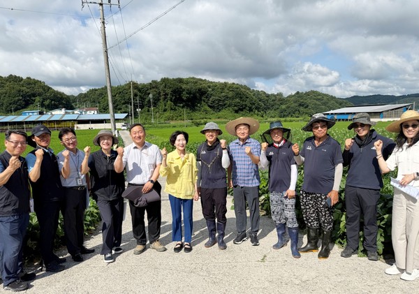 김병석 국립식량과학원장을 비롯한 병해충 전문가들이 전북 임실군 성수면의 벼 재배농가를 방문했다.