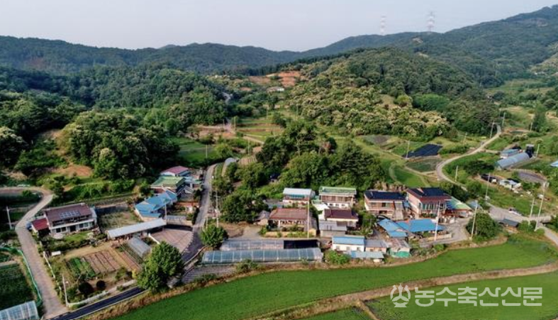 세종시 전의면 양곡리 마을전경.