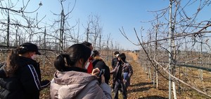 [기획연재] 명품사과의 이정표를 제시하다 ⑧지속가능 농업 돕는 엔비사... - 뉴스 썸네일 이미지